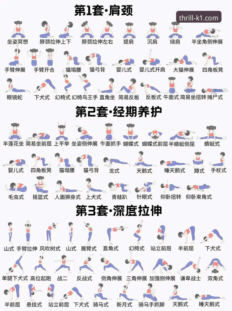 k1体育互动平台实用指南：从入门到精通的必备知识